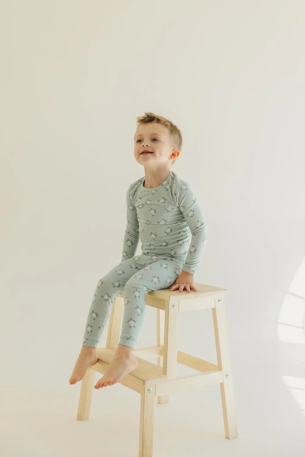 Copper Pearl Two Piece Long Sleeve Toddler Pajamas PJ Sets for Boys and Girls - Adorable Pattern Pajamas, Breathable Fabric to Keep Cool While Sleeping, Sizes 12 Months to 5T - Wade
