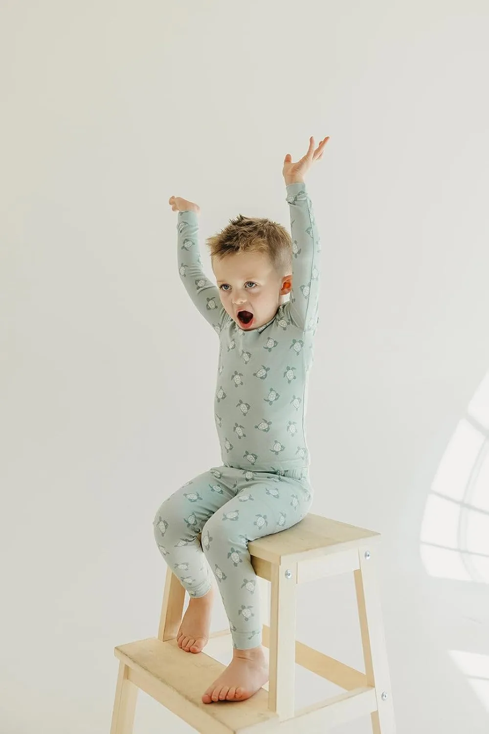 Copper Pearl Two Piece Long Sleeve Toddler Pajamas PJ Sets for Boys and Girls - Adorable Pattern Pajamas, Breathable Fabric to Keep Cool While Sleeping, Sizes 12 Months to 5T - Wade