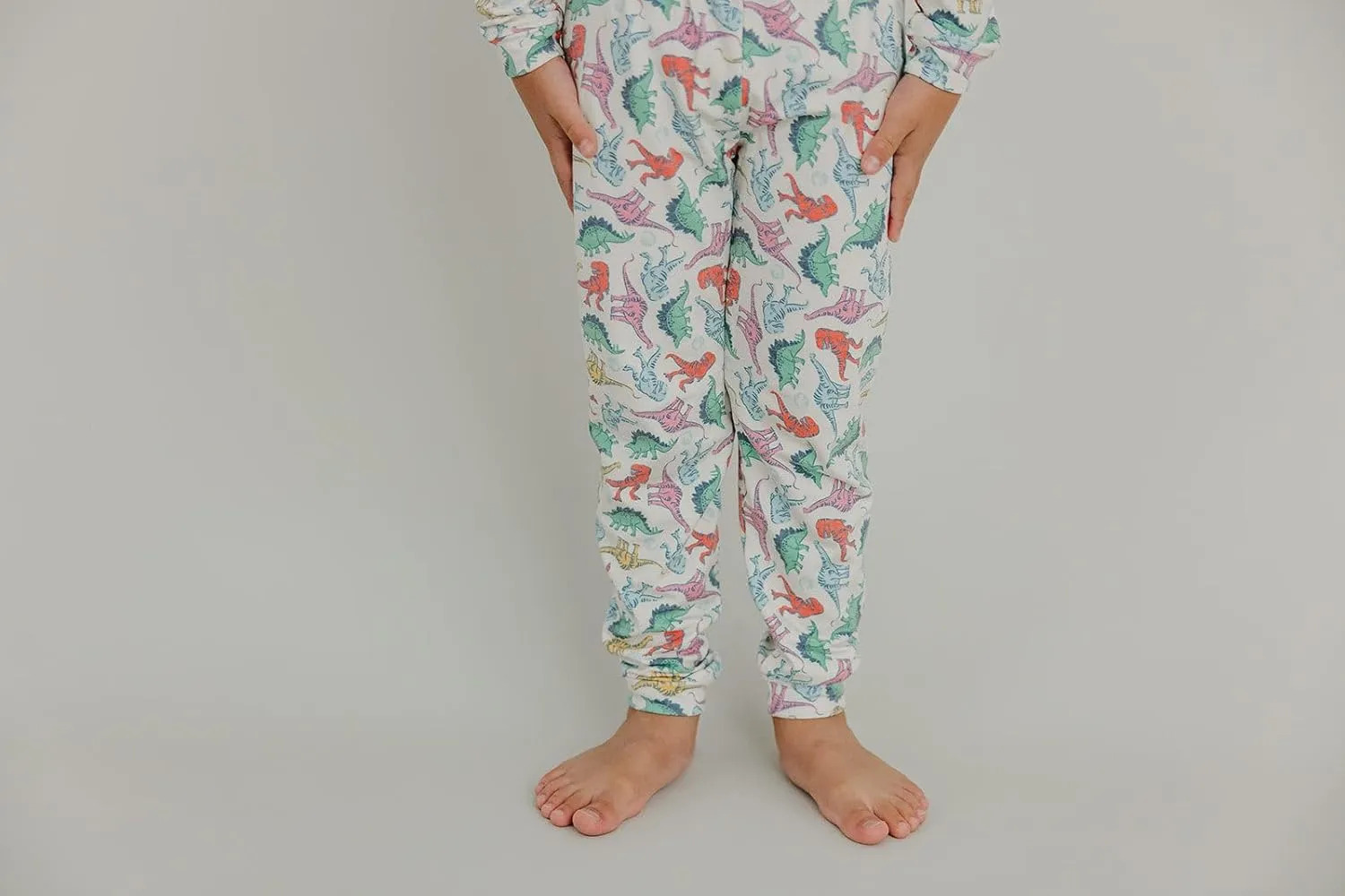 Copper Pearl Two Piece Long Sleeve Toddler Pajamas PJ Sets for Boys and Girls - Adorable Pattern Pajamas, Breathable Fabric to Keep Cool While Sleeping, Sizes 12m to 5T - Dinosaurs of Jurassic Park