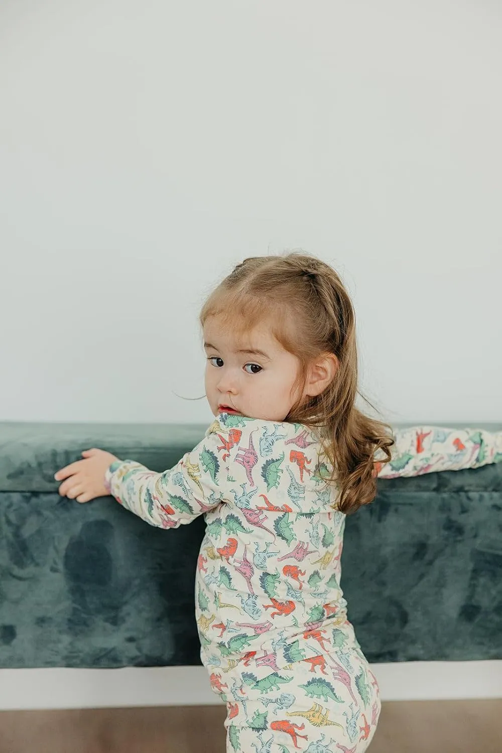 Copper Pearl Two Piece Long Sleeve Toddler Pajamas PJ Sets for Boys and Girls - Adorable Pattern Pajamas, Breathable Fabric to Keep Cool While Sleeping, Sizes 12m to 5T - Dinosaurs of Jurassic Park