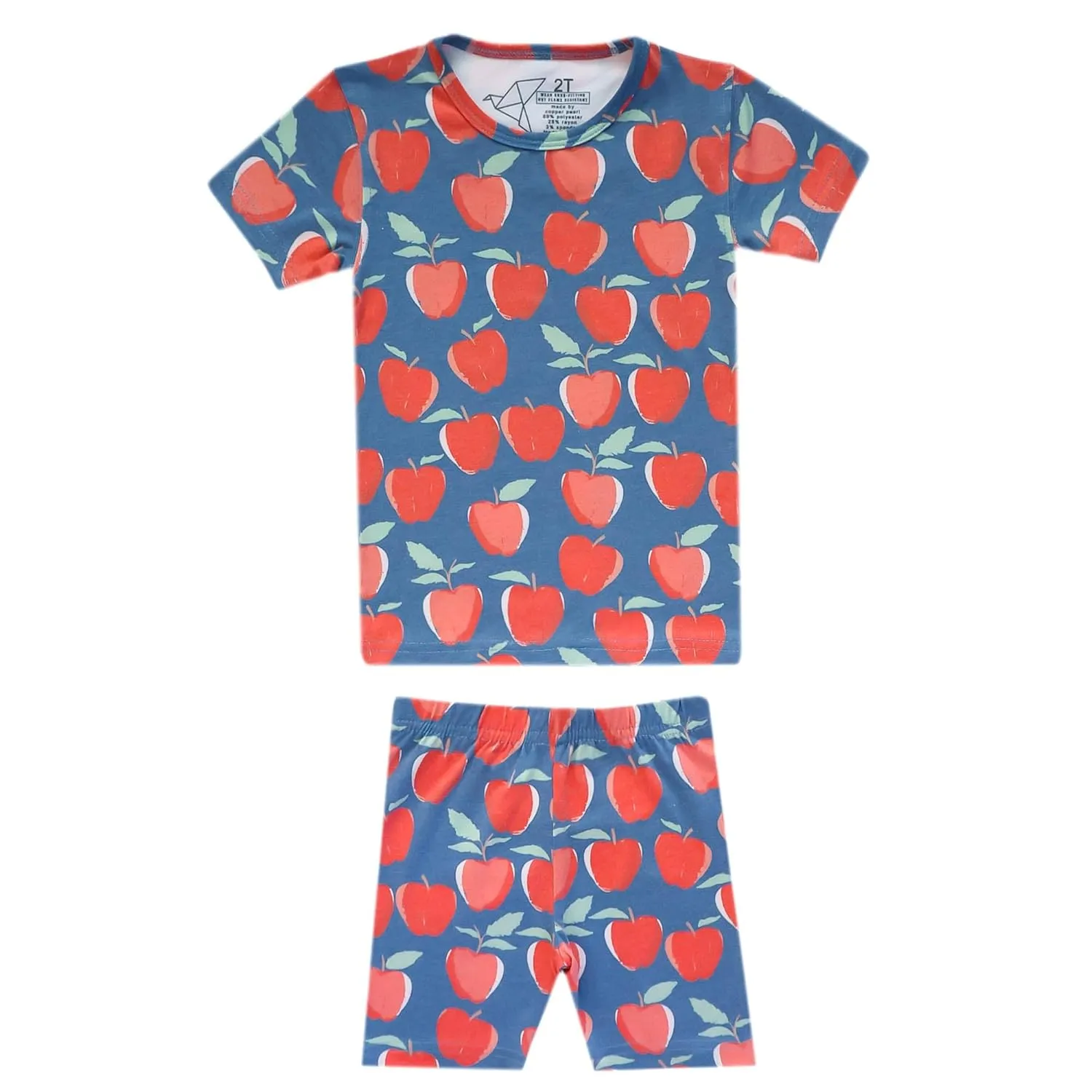 Copper Pearl Two Piece Short Sleeve Toddler Pajamas PJ Sets for Boys and Girls - Adorable Pattern Summer Pajamas Shorts to Keep Cool While Sleeping, Size 12 Months to 5T - Teacher